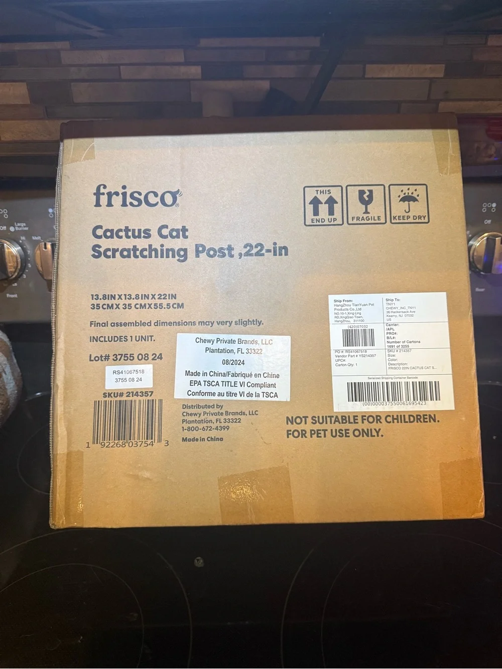 Frisco (By Chewy) Cactus Cat Scratching Post - 22” - NEW IN BOX!